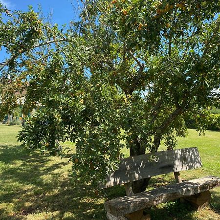 Les Feuilles Jaunes Chantenay-Saint-Imbert Екстер'єр фото