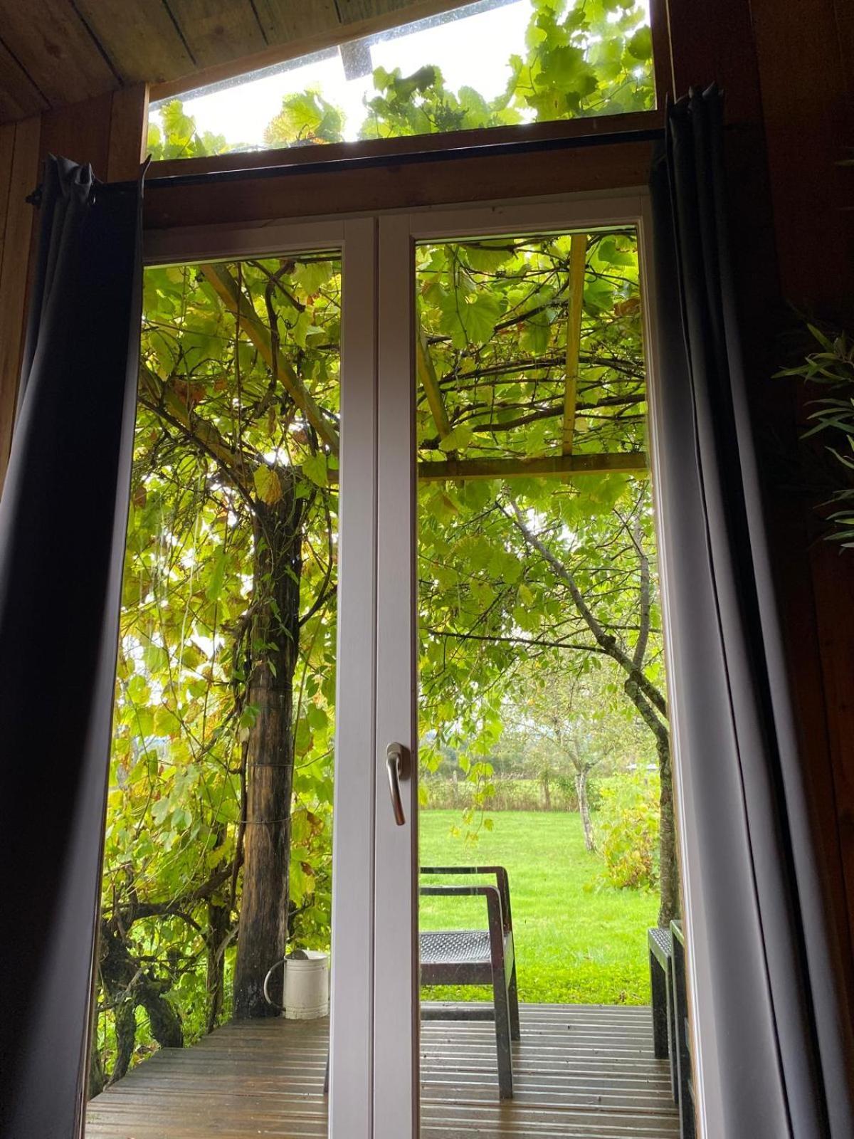 Les Feuilles Jaunes Chantenay-Saint-Imbert Екстер'єр фото